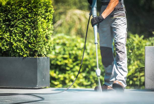 Best Fence Cleaning and Maintenance in Seabrook, TX